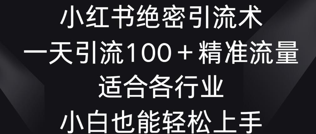 小红书绝密引流术，一天引流100+精准流量，适合各个行业，小白也能轻松上手【揭秘】-小鹏项目网