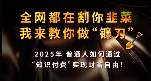 全网都在割你韭菜，我来教你做镰刀，2025年普通人如何通过 知识付费 实现财F自由【揭秘】-小鹏项目网