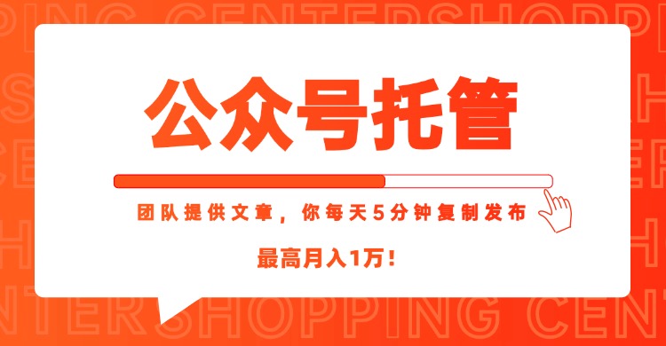 【公众号托管 】我提供文章，你每天５分钟复制发布，最高月入1W-小鹏项目网