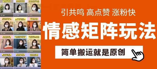 简单搬运，情感矩阵玩法，涨粉速度快，可带货，可起号【揭秘】-小鹏项目网