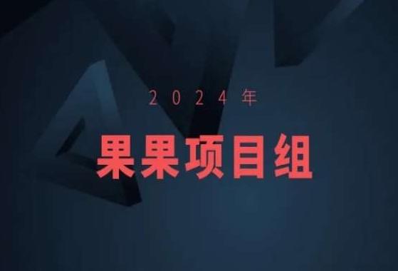 2024年果果项目组项目合集-果果最新项目-小鹏项目网