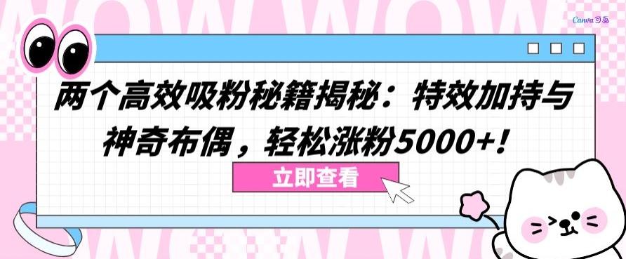 两个高效吸粉秘籍揭秘：特效加持与神奇布偶，轻松涨粉5000+【揭秘】-小鹏项目网
