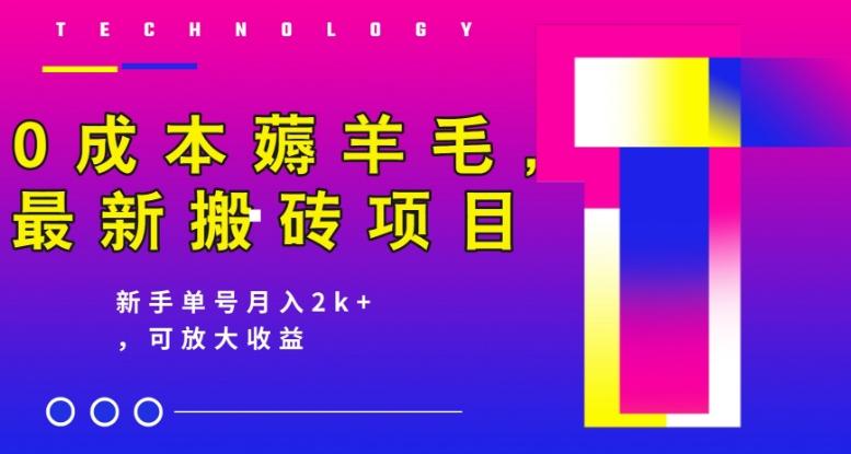 0成本薅羊毛，最新搬砖项目，新手单号月入2k+，可放大操作-小鹏项目网