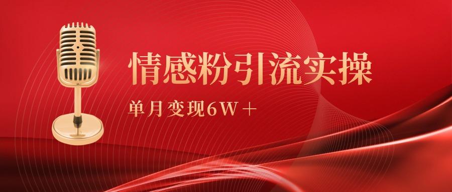 (9473期)单月变现6w+，情感粉引流变现实操课-小鹏项目网