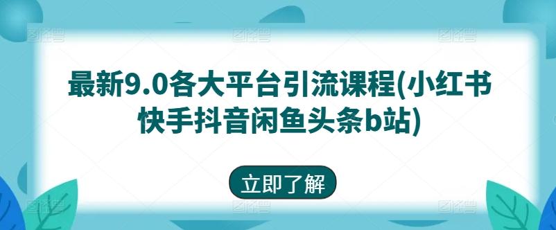 最新9.0各大平台引流课程(小红书快手抖音闲鱼头条b站)-小鹏项目网