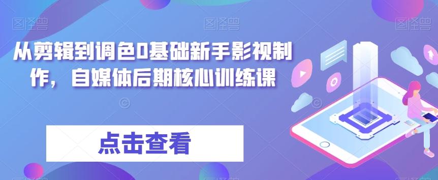从剪辑到调色0基础新手影视制作，自媒体后期核心训练课-小鹏项目网