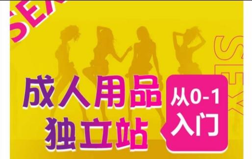 成人用品独立站从0-1入门，成品独立站运营全流程教学，七大好卖成品独立站推荐-小鹏项目网