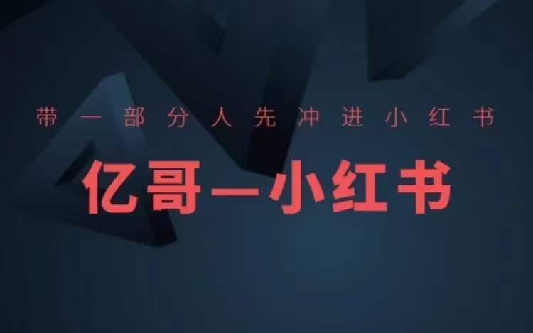 ​​带一部分人先冲进小红书，小红书开店、选品、爆款裂变-小鹏项目网