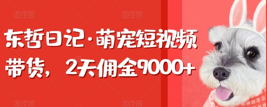 东哲日记·萌宠短视频带货，2天佣金9000+-小鹏项目网