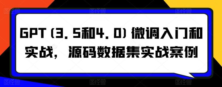 GPT(3.5和4.0)微调入门和实战，源码数据集实战案例-小鹏项目网
