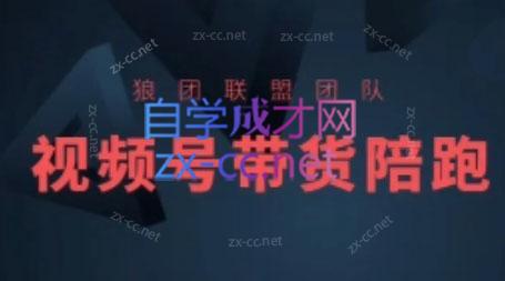 狼团联盟·2024视频号带货-小鹏项目网