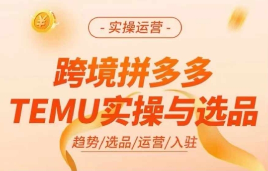 跨境拼多多TEMU实操与选品，多多temu跨境选品运营实操-小鹏项目网