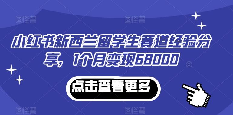 小红书新西兰留学生赛道经验分享，1个月变现68000【揭秘】-小鹏项目网