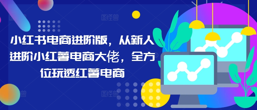 小红书电商进阶版，从新人进阶小红薯电商大佬，全方位玩透红薯电商-小鹏项目网