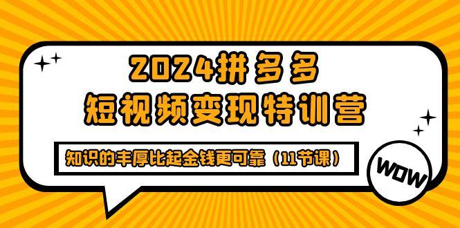 (9817期)2024拼多多短视频变现特训营，知识的丰厚比起金钱更可靠(11节课)-小鹏项目网