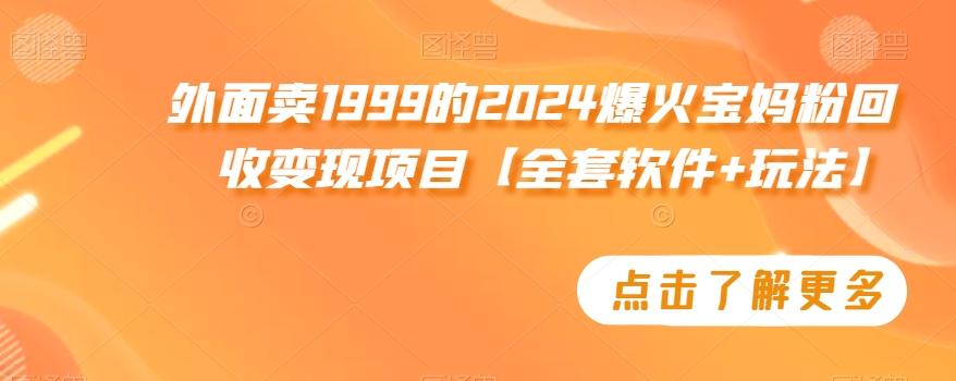 外面卖1999的2024爆火宝妈粉回收变现项目【全套软件+玩法】【揭秘】-小鹏项目网
