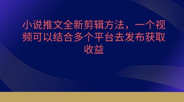 小说推文全新剪辑方法，一个视频可以结合多个平台去发布获取【揭秘】-小鹏项目网