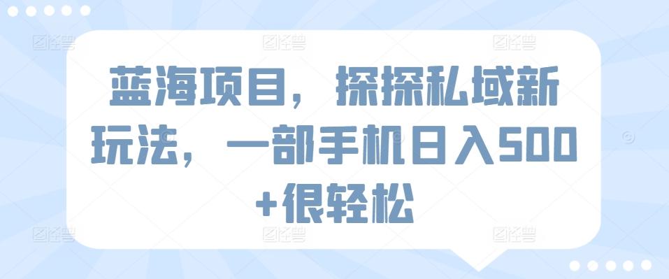 蓝海项目，探探私域新玩法，一部手机日入500+很轻松【揭秘】-小鹏项目网