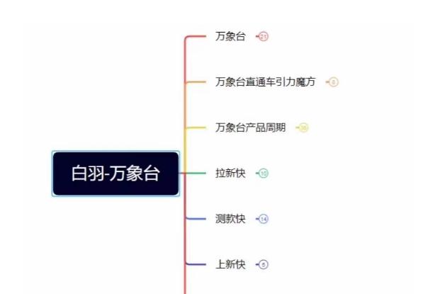 白羽·直引万搜索全篇，从0-1，多个类目实操经验总结付费-小鹏项目网