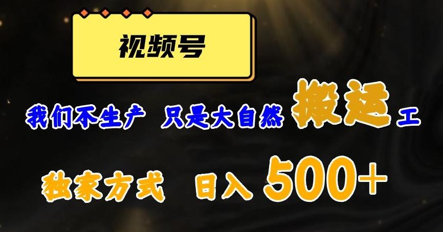 视频号轻松搬运日赚500+，一个1分钟1条原创视频【揭秘】-小鹏项目网