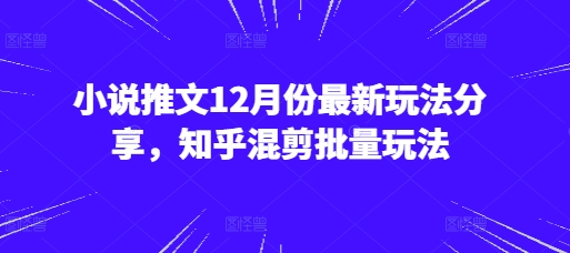 小说推文12月份最新玩法分享，知乎混剪批量玩法-小鹏项目网