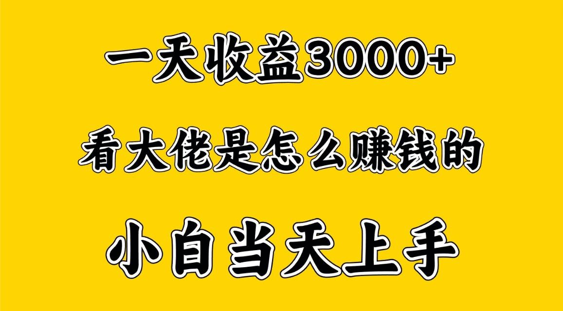 一天赚3000多，大佬是这样赚到钱的，小白当天上手，穷人翻身项目-小鹏项目网