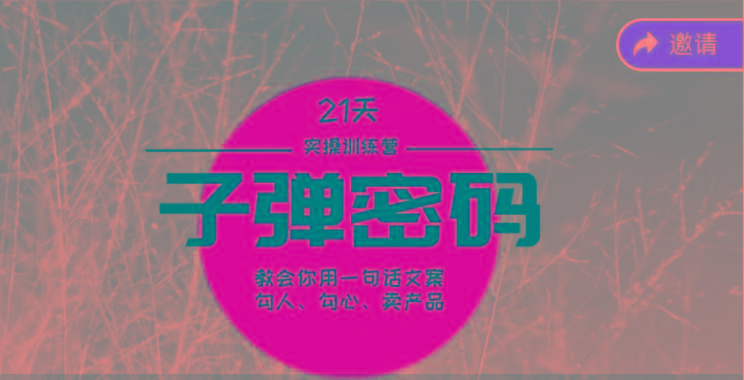 《子弹密码训练营》-用一句话文案勾人勾心卖产品，21天学到顶尖文案大师策略和技巧-小鹏项目网