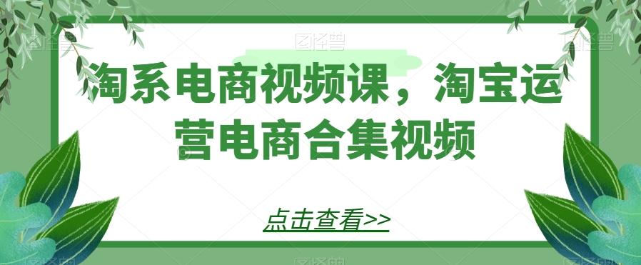 淘系电商视频课，淘宝运营电商合集视频-小鹏项目网