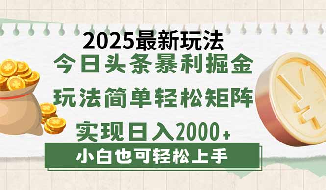 今日头条2025最新玩法，思路简单，复制粘贴，轻松实现矩阵日入2000+-小鹏项目网