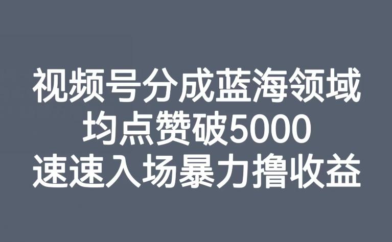 视频号分成蓝海领域，均点赞破5000，速速入场暴力撸收益-小鹏项目网