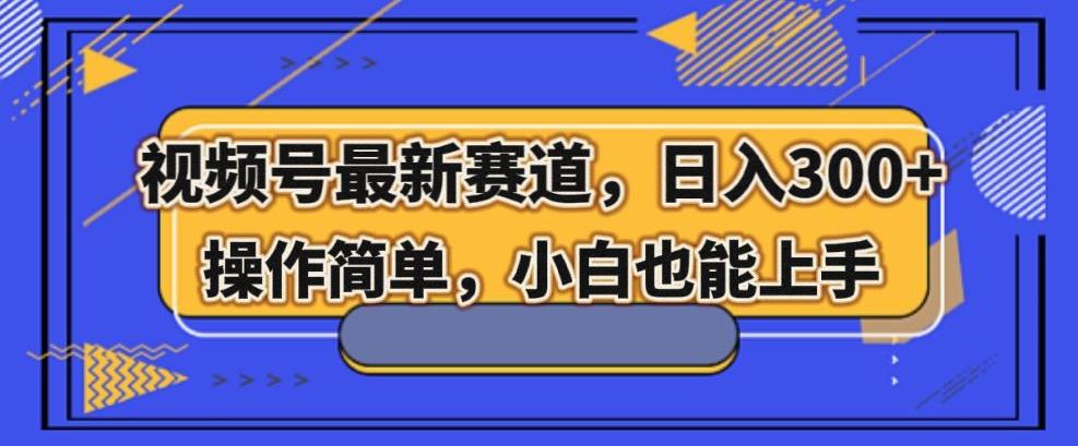 视频号最新赛道，日入300+，新手小白轻松掌握-小鹏项目网