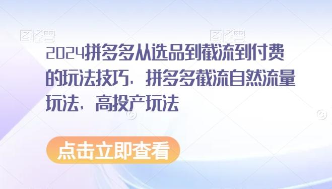 2024拼多多从选品到截流到付费的玩法技巧，拼多多截流自然流量玩法，高投产玩法-小鹏项目网