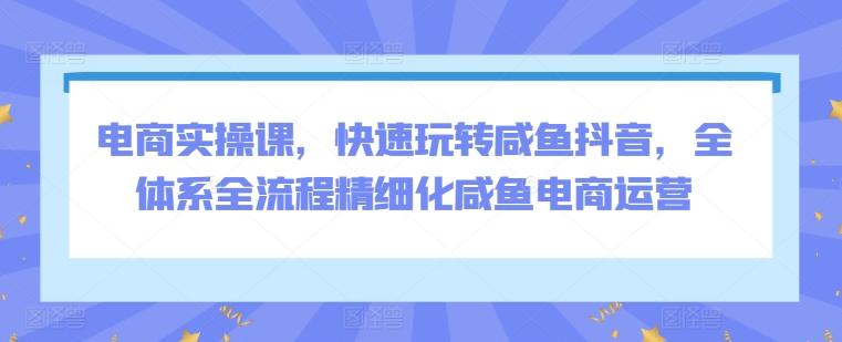 电商实操课，快速玩转咸鱼抖音，全体系全流程精细化咸鱼电商运营-小鹏项目网