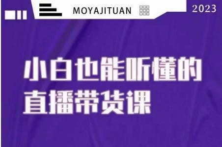 大威本威·能听懂的直播带货课，小白也能听懂，20节完整-小鹏项目网
