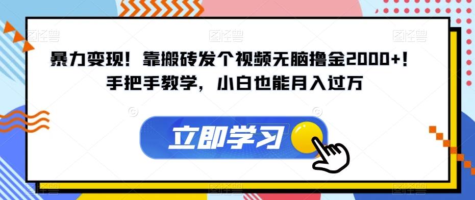 暴力变现！靠搬砖发个视频无脑撸金2000+！手把手教学，小白也能月入过万【揭秘】-小鹏项目网