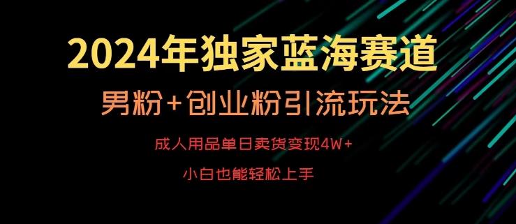 2024年独家蓝海赛道，成人用品单日卖货变现4W+，男粉+创业粉引流玩法，不愁搞不到流量【揭秘】-小鹏项目网