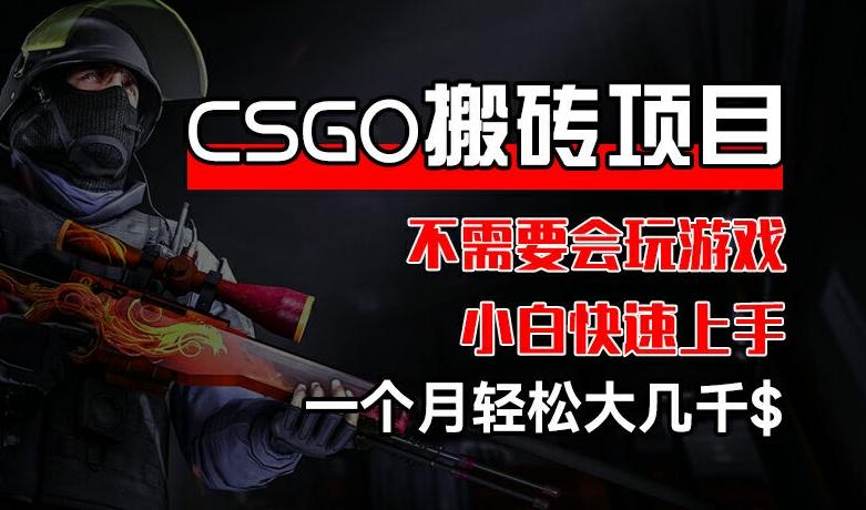 CSGO 装备搬砖项目，操作简单，不需要会玩游戏，小白也能快速上手，一个月轻松大几千【揭秘】-小鹏项目网