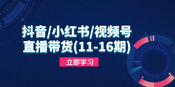抖音/小红书/视频号/直播带货(11-16期-小鹏项目网