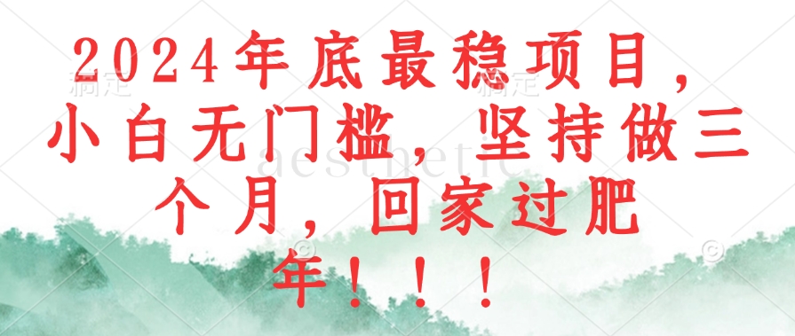 2024年底最稳项目，小白无门槛，坚持做三个月，回家过肥年！！！-小鹏项目网