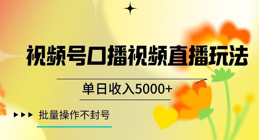 视频号囗播视频直播玩法，单日收入5000+，批量操作不封号【揭秘】-小鹏项目网