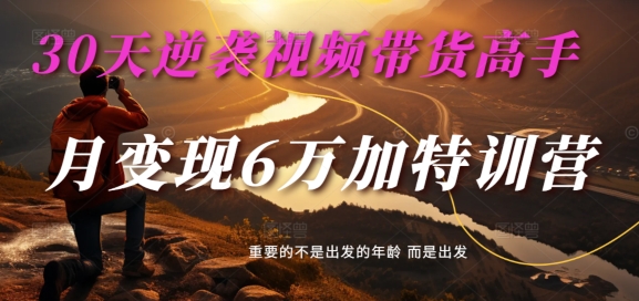30天逆袭视频带货高手，单月变现6万加特训营-麦子甜-小鹏项目网
