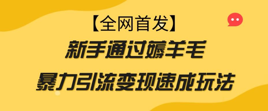 【全网首发】新手通过薅羊毛暴力引流变现速成玩法-小鹏项目网