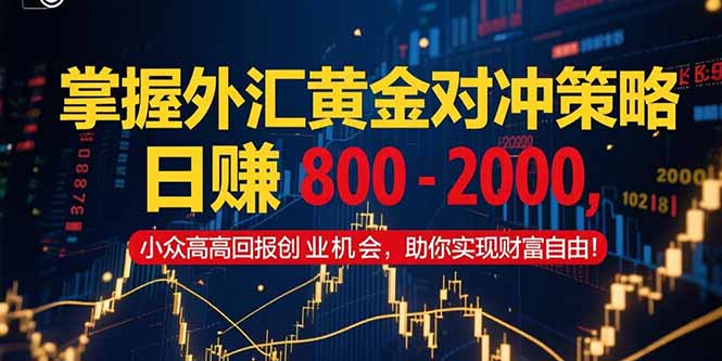 掌握外汇黄金对冲策略，日赚 800 - 2000，小众高回报创业机会，助你实...-小鹏项目网