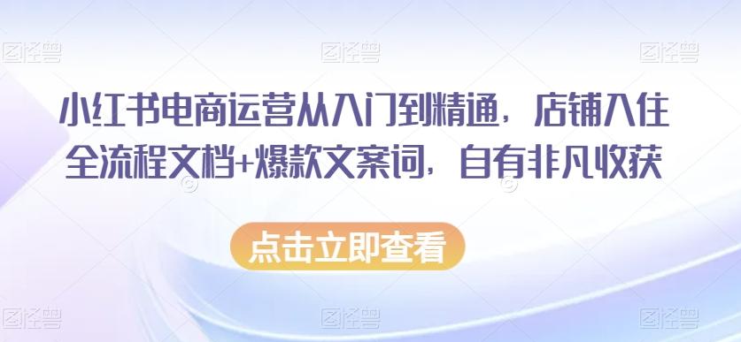 小红书电商运营从入门到精通，店铺入住全流程文档+爆款文案词，自有非凡收获-小鹏项目网