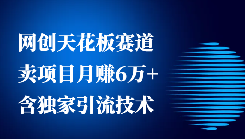 网创天花板赛道，卖项目月赚6万+，含独家引流技术(共26节课)-小鹏项目网