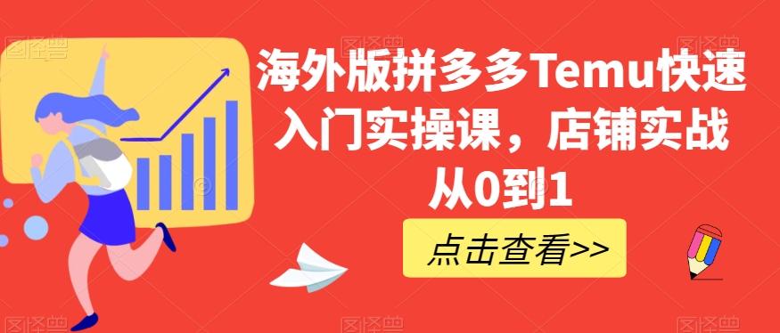 海外版拼多多Temu快速入门实操课，店铺实战从0到1-小鹏项目网