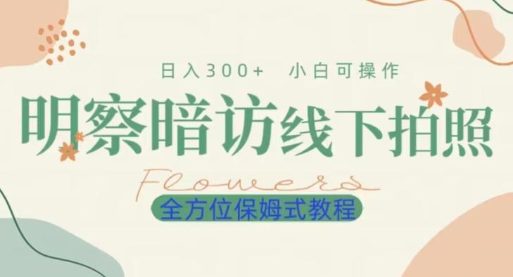 明拍暗拍项目0成本投入日入300+小白可操作保姆式全方位教程-小鹏项目网