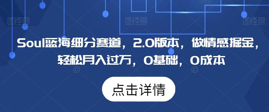 Soul蓝海细分赛道，2.0版本，做情感掘金，轻松月入过万，0基础，0成本-小鹏项目网