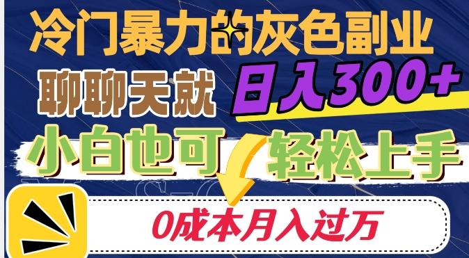 冷门暴利的副业项目，聊聊天就能日入300+，0成本月入过万【揭秘】-小鹏项目网