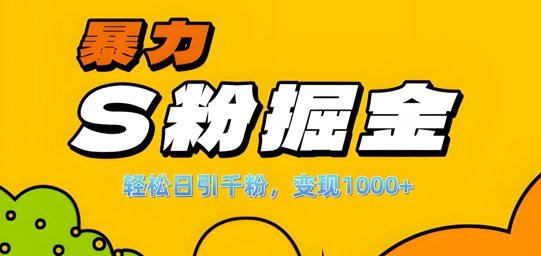 单人单机日引千粉，变现1k+，S粉流量掘金计划攻略【揭秘】-小鹏项目网